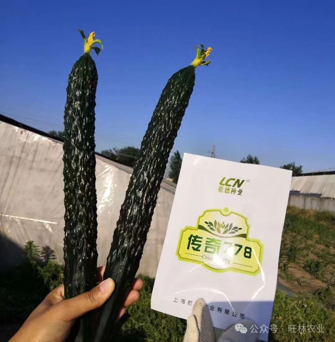 图片 12.png